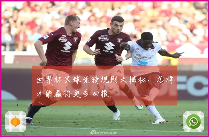 世界杯买球竞猜规则大揭秘，怎样才能赢得更多回报