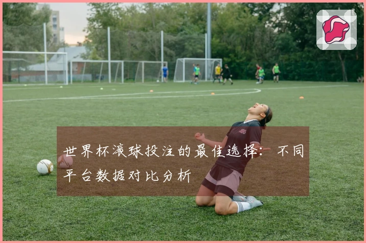 世界杯滚球投注的最佳选择：不同平台数据对比分析