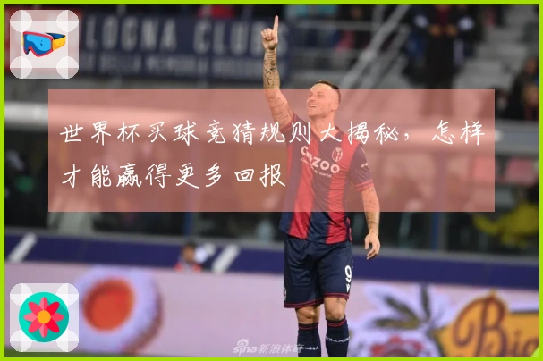 世界杯买球竞猜规则大揭秘，怎样才能赢得更多回报