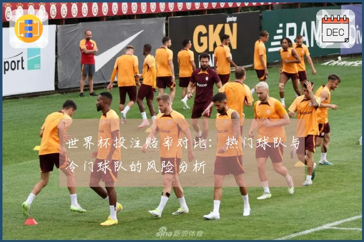 世界杯投注赔率对比：热门球队与冷门球队的风险分析