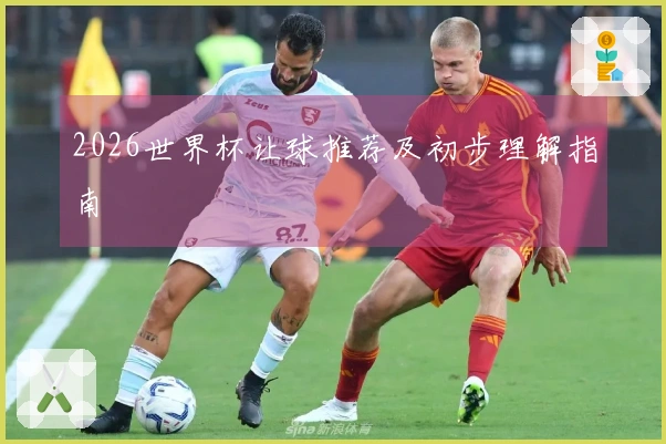 2026世界杯让球推荐及初步理解指南