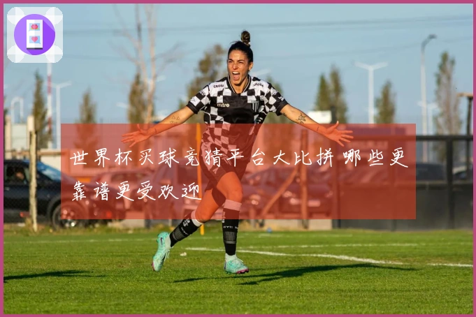 世界杯买球竞猜平台大比拼 哪些更靠谱更受欢迎